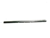Rear side glass trim