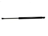 Tailgate/trunk strut/damper