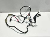 Other wiring loom