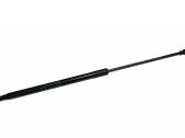 Tailgate/trunk strut/damper