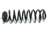 Rear coil spring