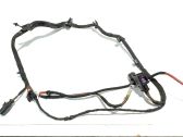 Other wiring loom