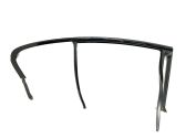 Rear door glass trim molding
