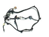 Rear door wiring loom