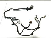 Rear door wiring loom