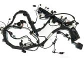 Engine installation wiring loom