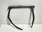 Rear door glass trim molding