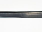Fender trim (molding)