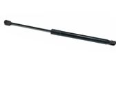 Tailgate/trunk strut/damper