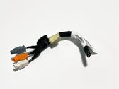 Other wiring loom