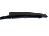 Rear door glass trim molding