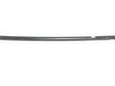 Rear door glass trim molding