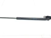 Tailgate/trunk strut/damper