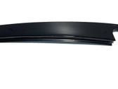 Rear door glass trim molding