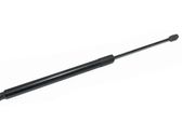 Tailgate/trunk strut/damper