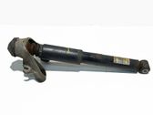 Rear shock absorber/damper