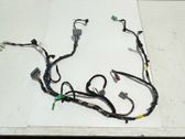 Other wiring loom