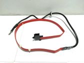 Positive cable (battery)