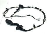 Rear door wiring loom