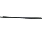 Front door glass trim molding