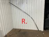 Roof trim bar molding cover