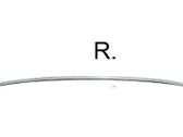 Roof trim bar molding cover