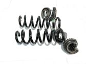 Rear coil spring
