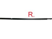 Rear door glass trim molding
