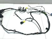 Front door wiring loom