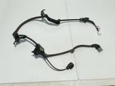 Cableado del sensor ABS trasero