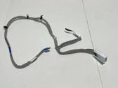 Other wiring loom