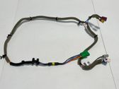 Other wiring loom