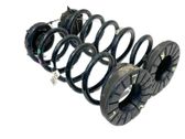 Rear coil spring