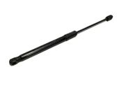 Front bonnet/hood damper/strut