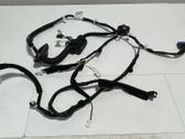 Front door wiring loom