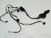 Rear door wiring loom