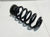 Rear coil spring