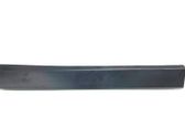 Rear door trim (molding)