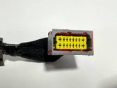 Rear door wiring loom