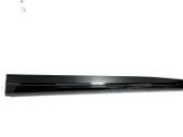 Front door trim (molding)
