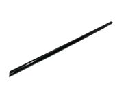 Rear door glass trim molding