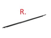 Rear door glass trim molding