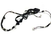Rear door wiring loom