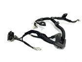 Negative earth cable (battery)