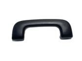 Front interior roof grab handle