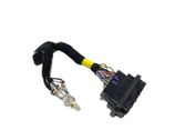Front door wiring loom