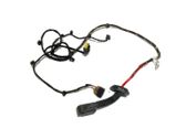 Rear door wiring loom