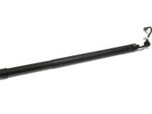 Tailgate/trunk strut/damper