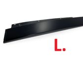 Rear door glass trim molding
