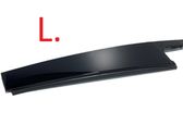 Rear door glass trim molding